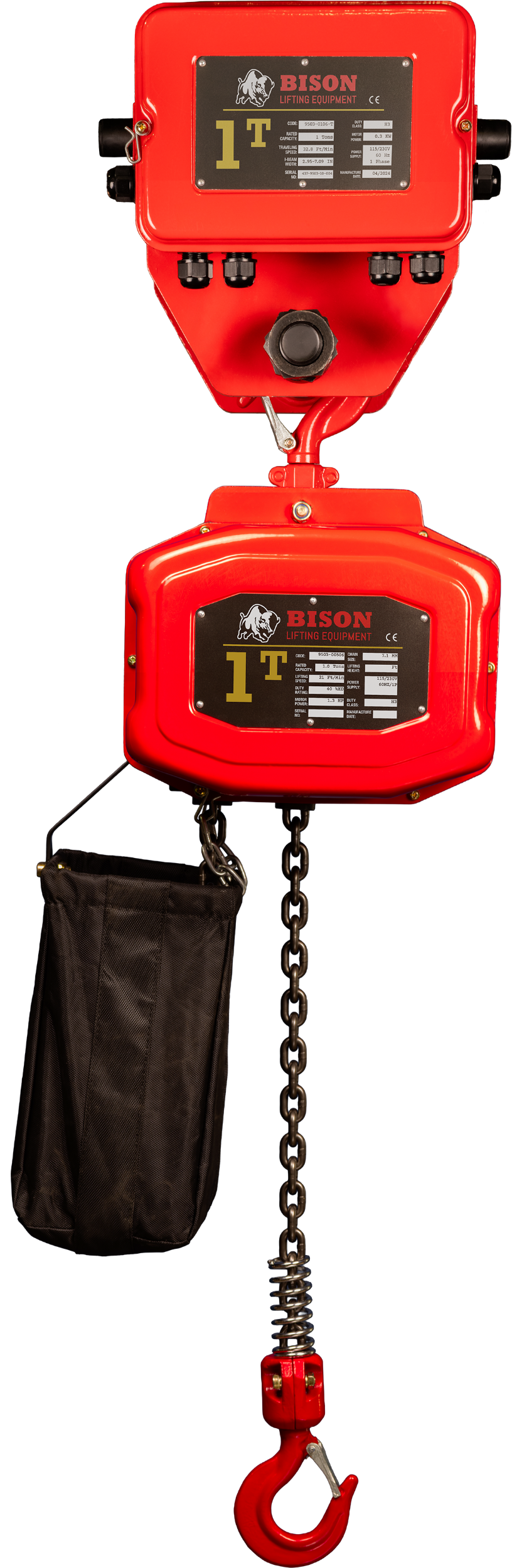 Picture of 1 Ton Hoist + Trolley