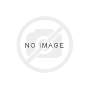 Picture for category Overload Protection Hand Chain Hoist